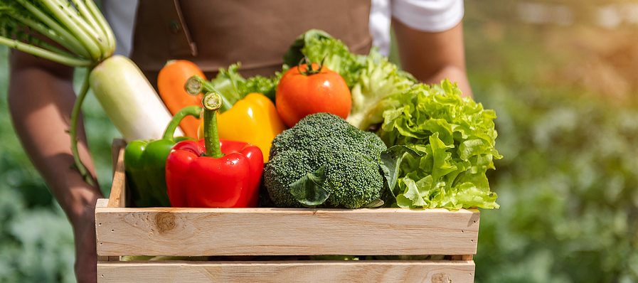 helping hands with fresh vegetables
